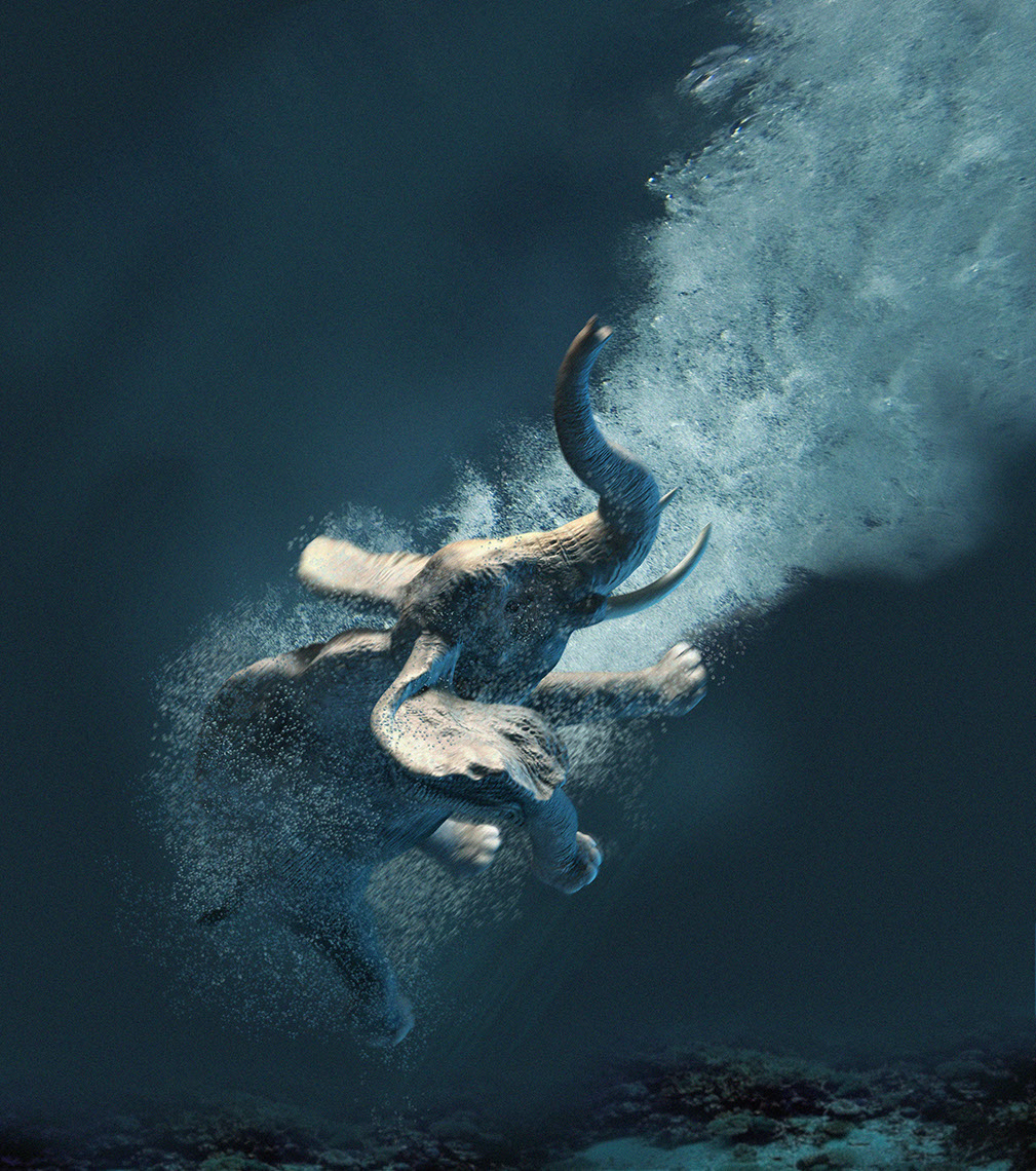 CGI-illustration-Liquids_Elephant swim