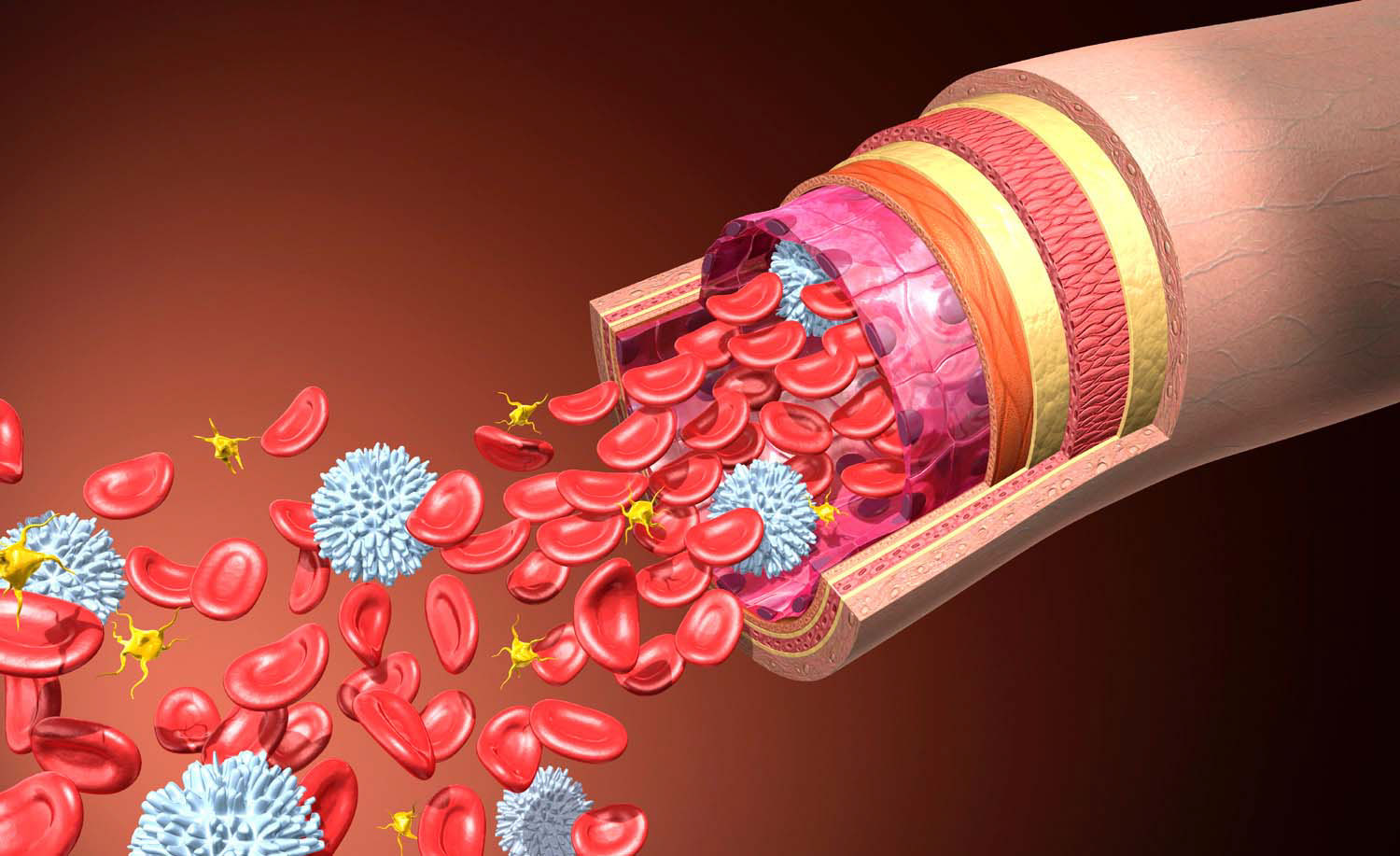 CGI-illustration-Medical_The contents of a vein