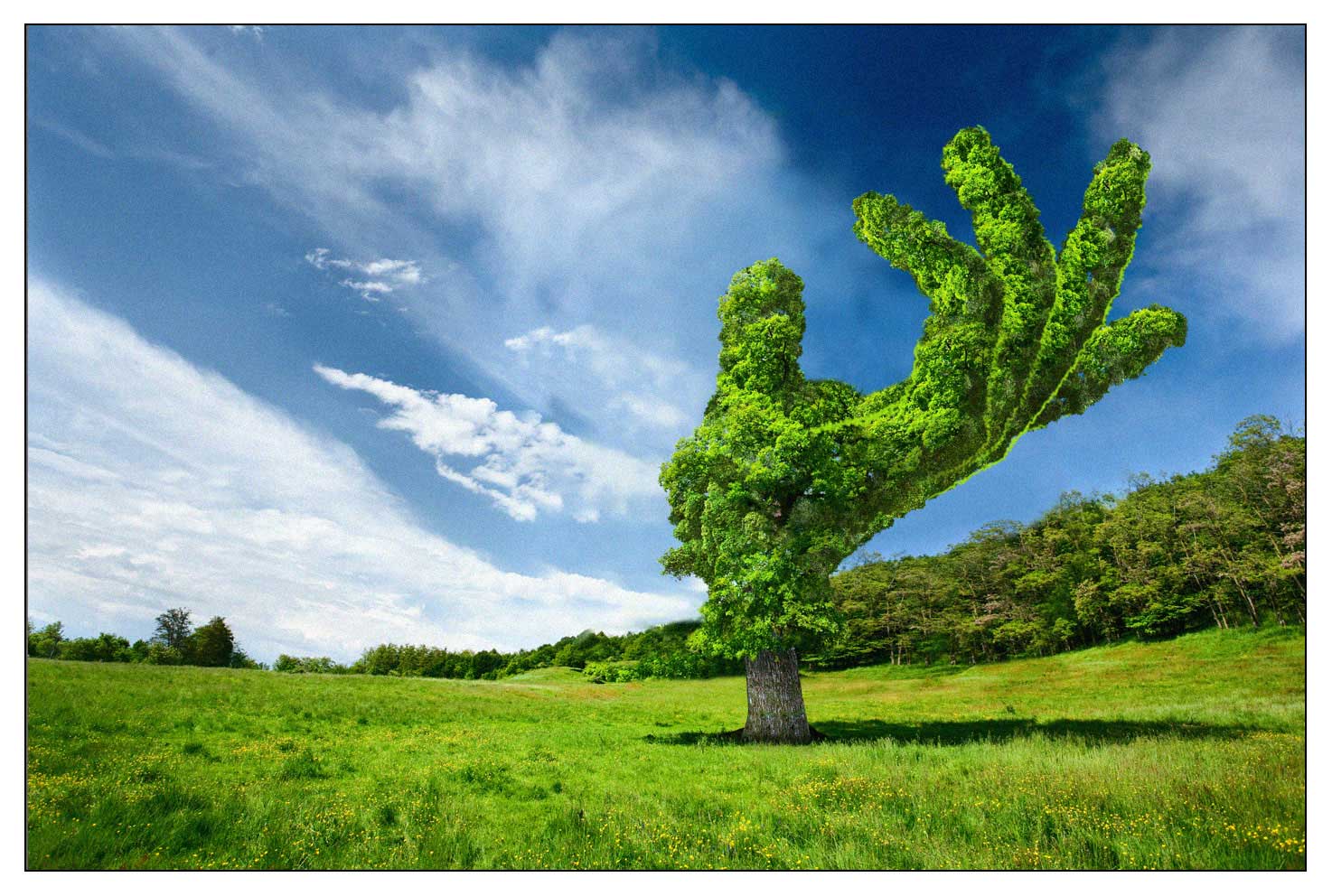 CGI-illustration-Still-Life_Hand-tree