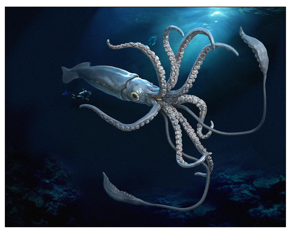 CGI-illustration-Still Life_Kraken