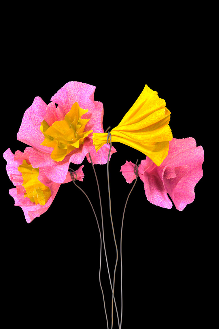 CGI-illustration-Still Life_Paper flowers