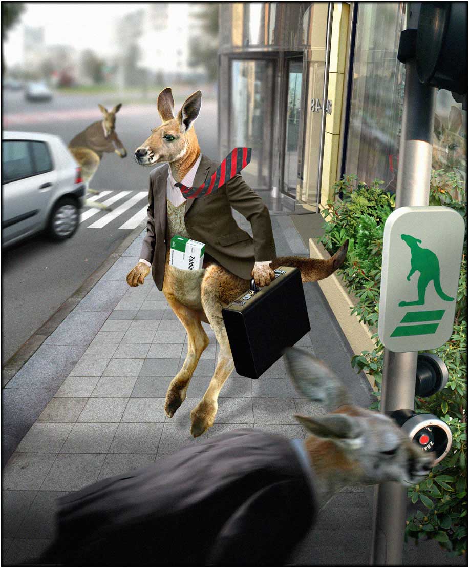 CGI-photography-matte-Characters_Kangaroo-commute