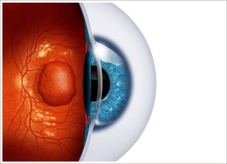 Cutaway-of-Eye-Detailed
