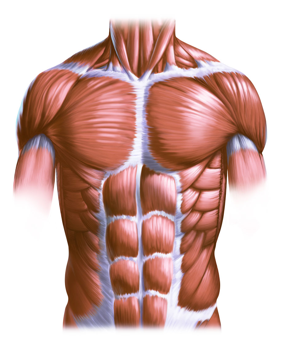 ILLUSTRATION- (19)-Craig Zuckerman