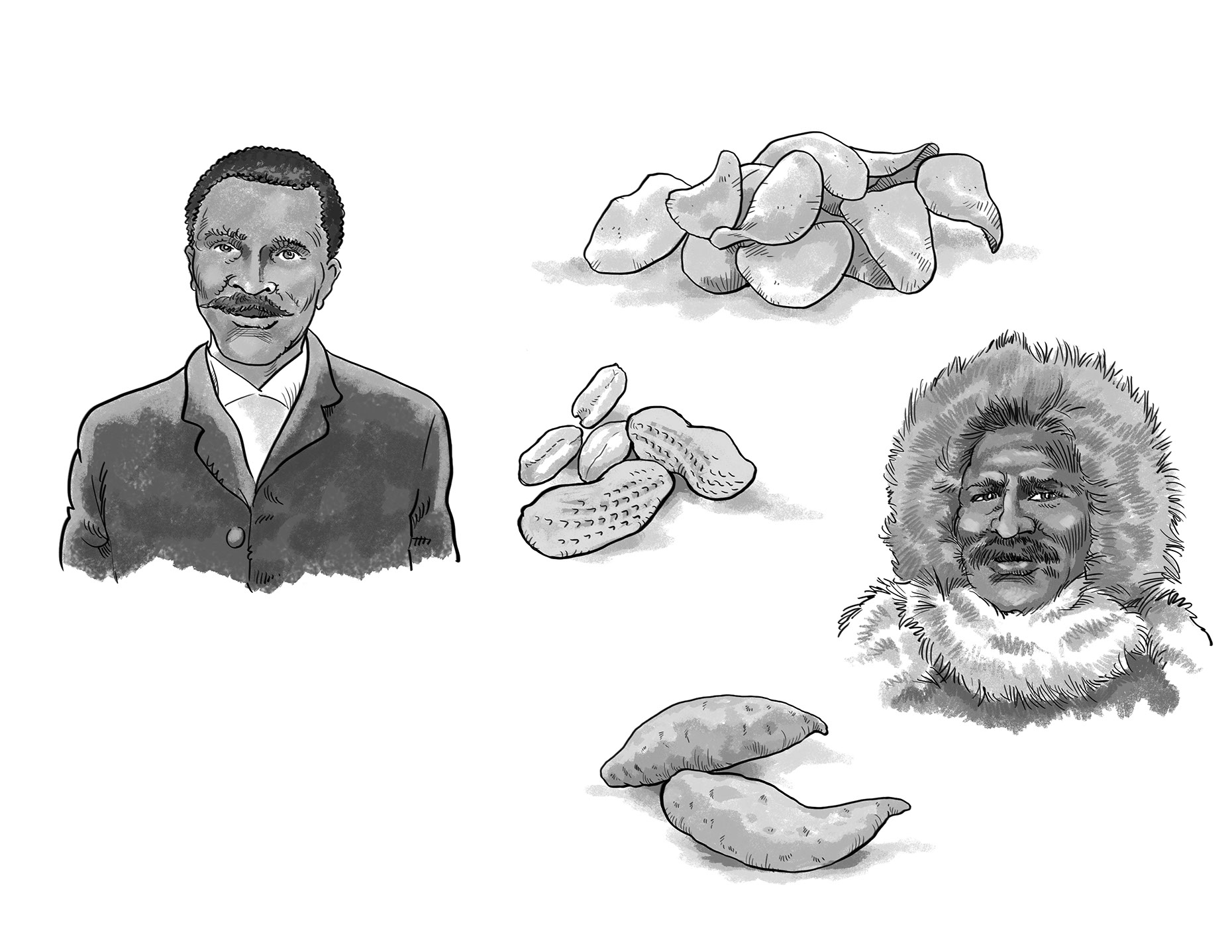 Illustration_People_George Washington Carver Black History-Bot-Roda