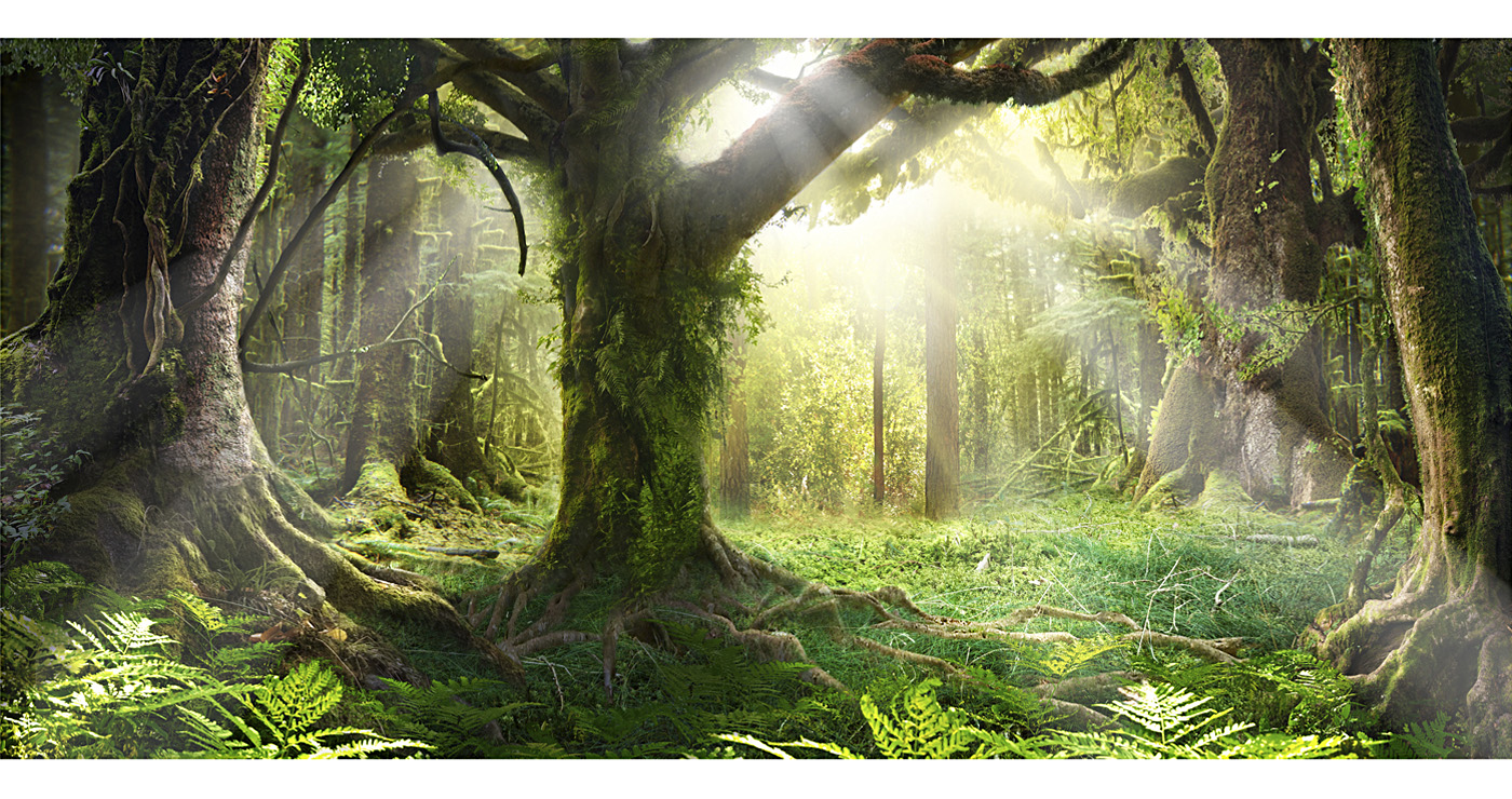 IrishMagicForest