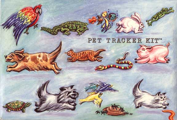 Pet Tracker Kit