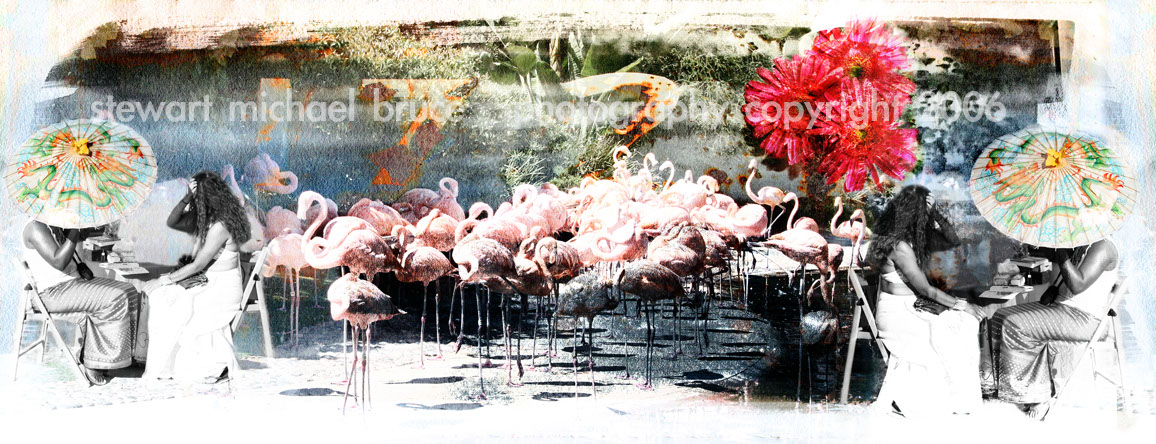 Photo-Imaging_Animals and Nature_Flamingos-Stewart Michael Bruce