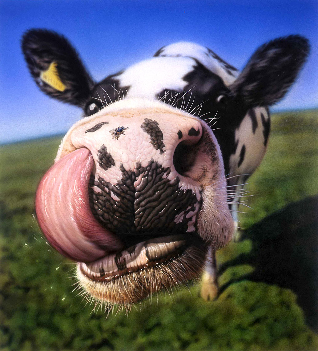 Photo-Imaging_Animals and Nature_Tongue Cow-Frank Neidhardt
