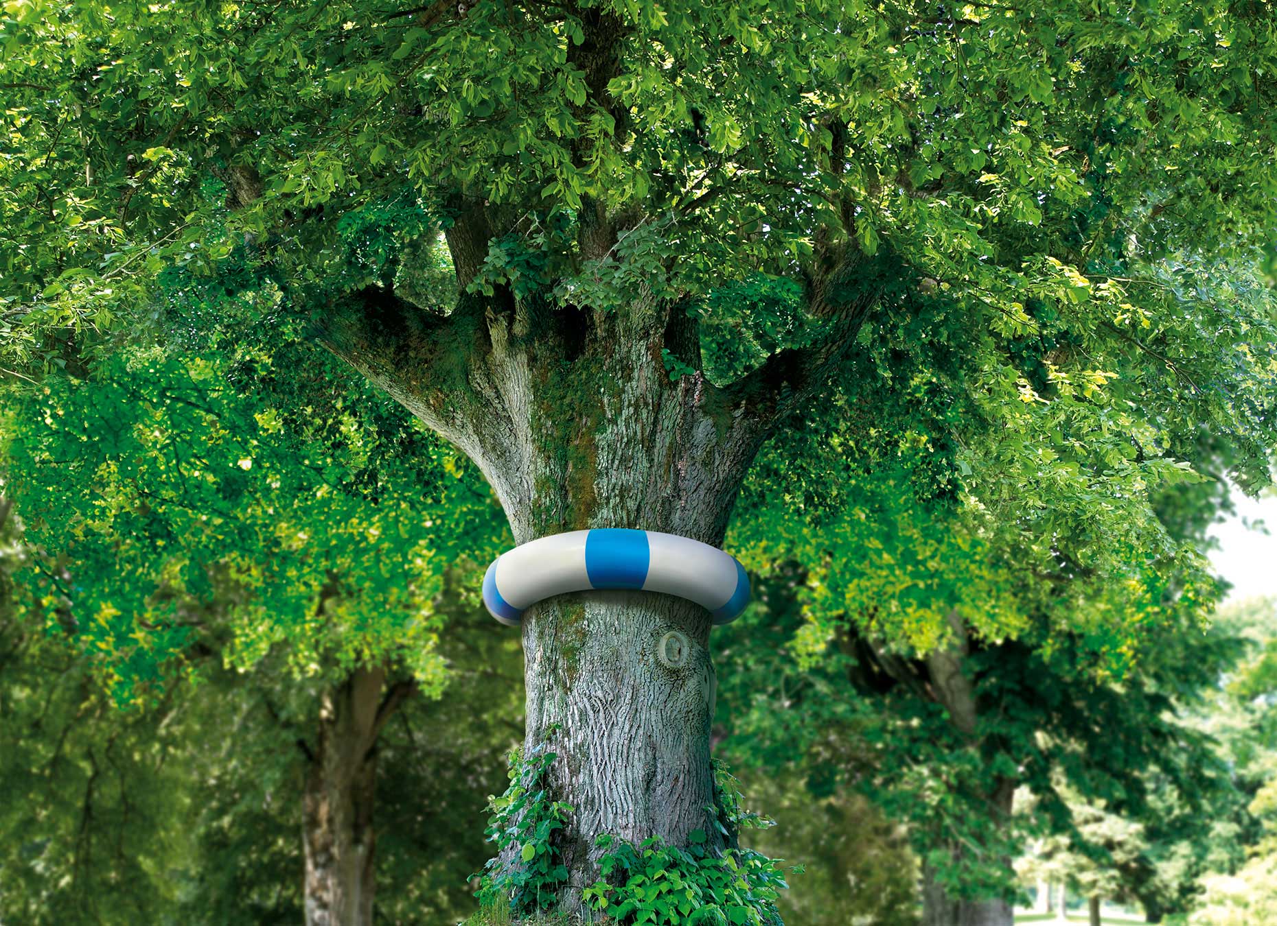 Photo-Imaging_Scenes and Landscapes_Tree with tube-Frank Neidhardt