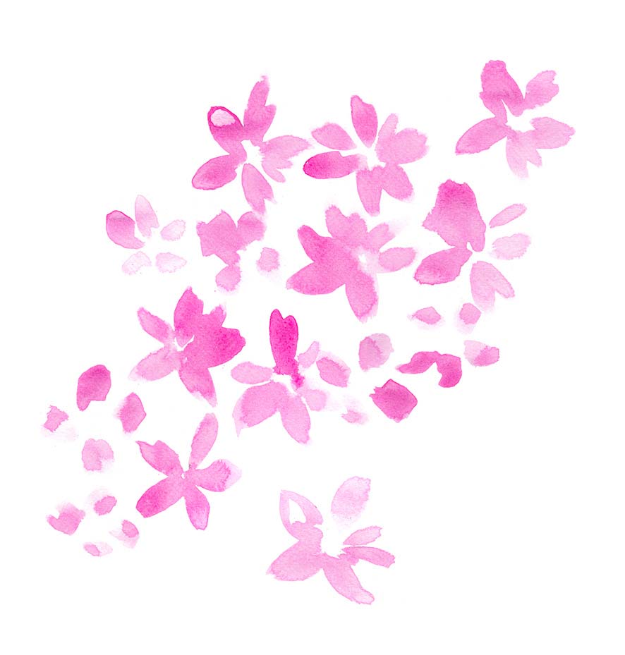 Pink flower petals watersolor