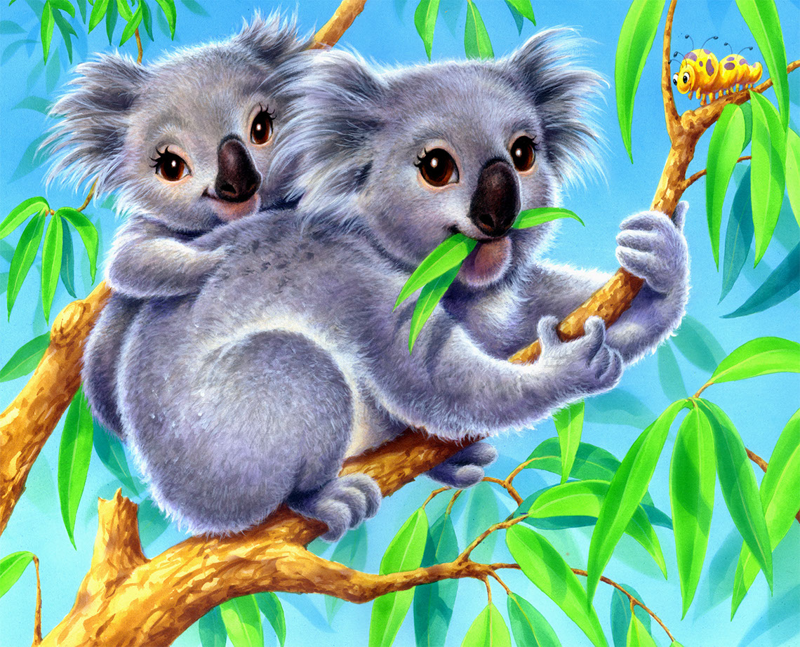 Rick Grayson_Animals_Koalas eating Eucalyptus