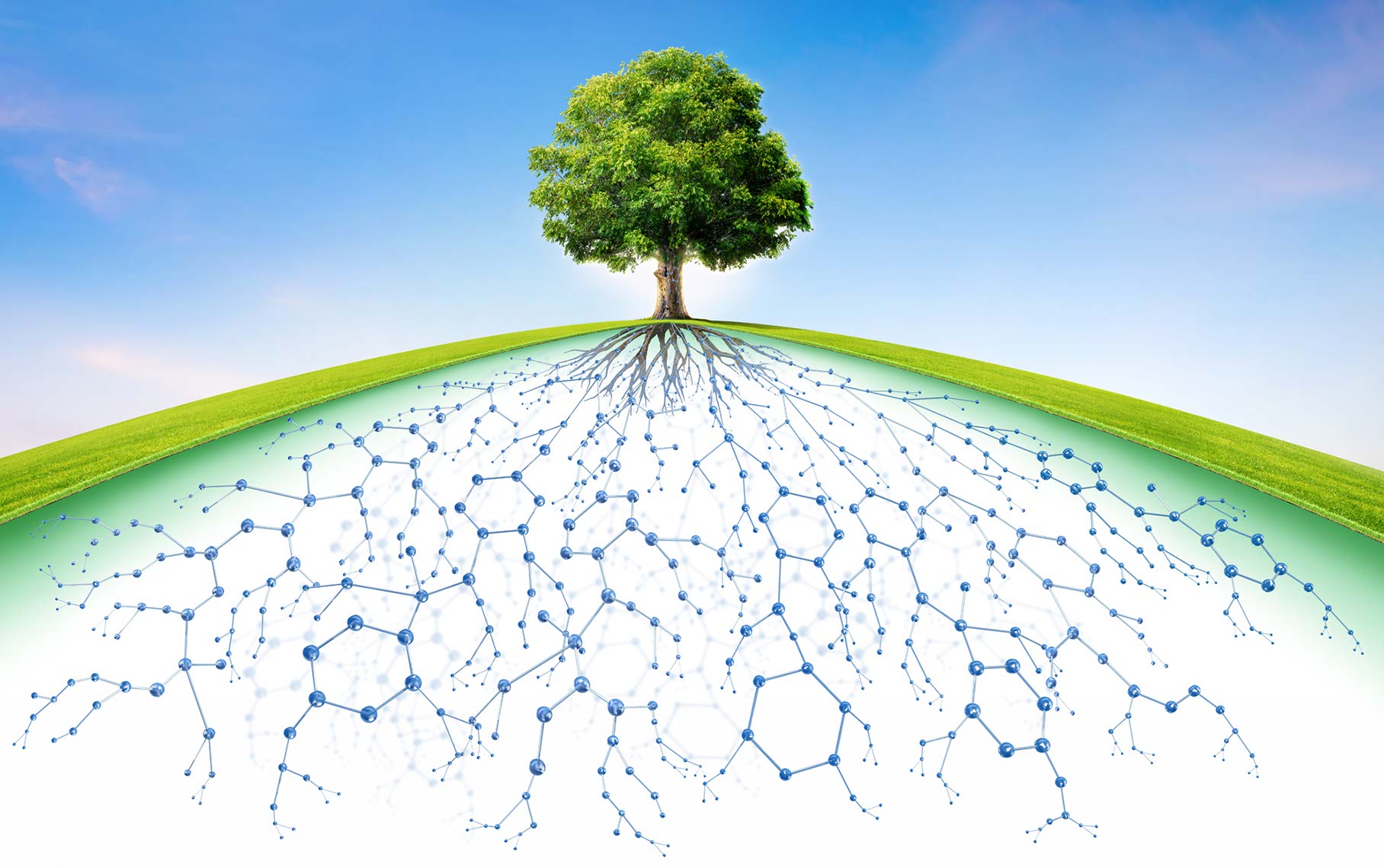 TREE_MOLECULES_MAIN_FINAL