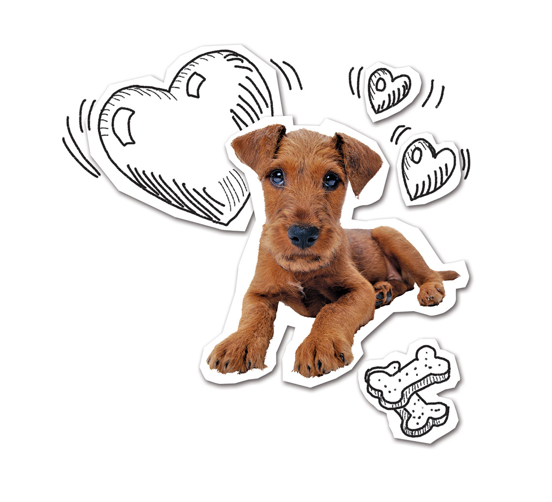 Taylor Lee_Illustration_Animals and Nature_Puppy with hearts