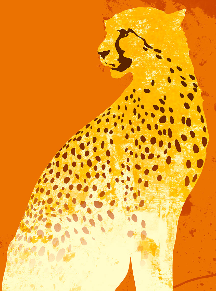 illustration-Animals_Cheetah-Don Bishop