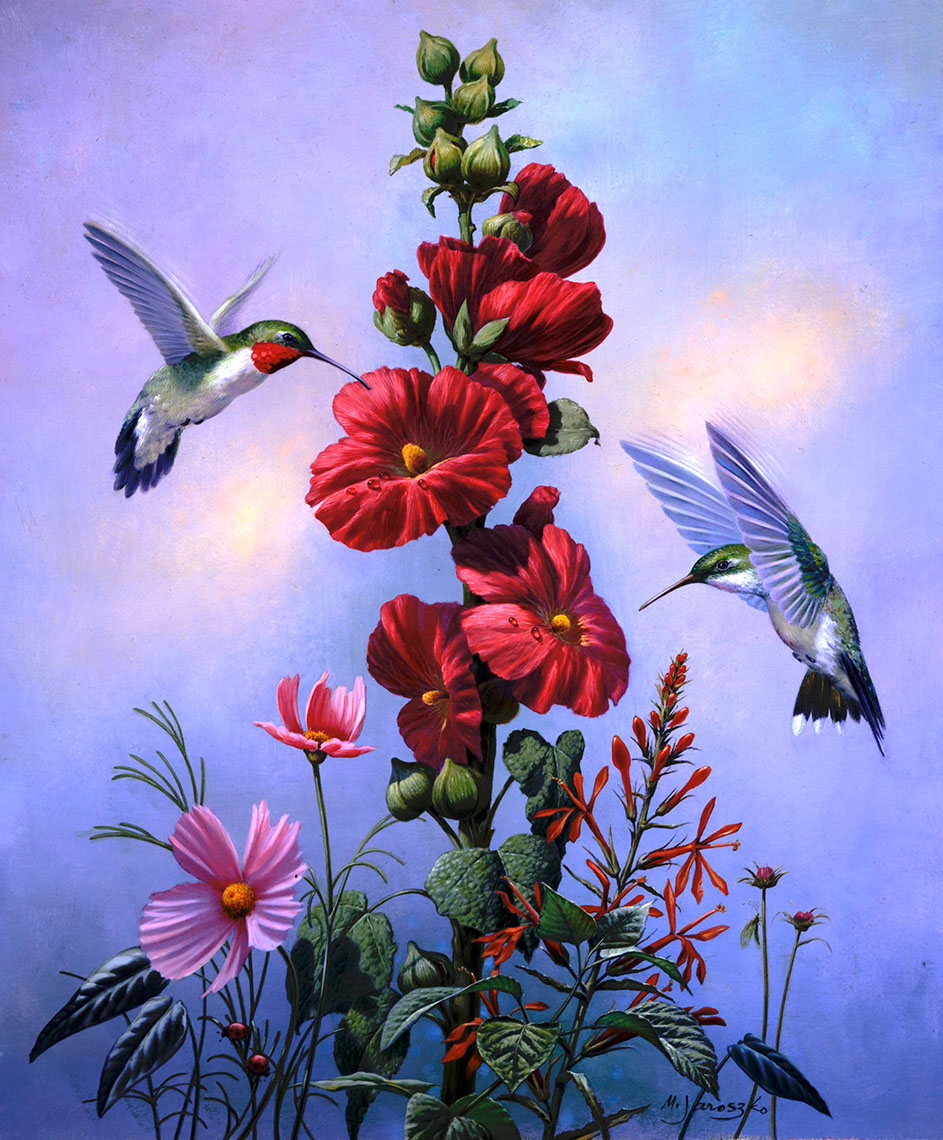 illustration-Animals and Nature_Hummingbird and Hibiscus-Mike Jaroszko
