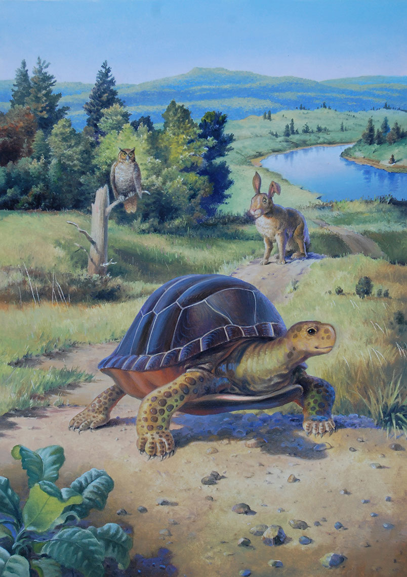 illustration-Animals and Nature_Turtle vs Hare-Mike Jaroszko