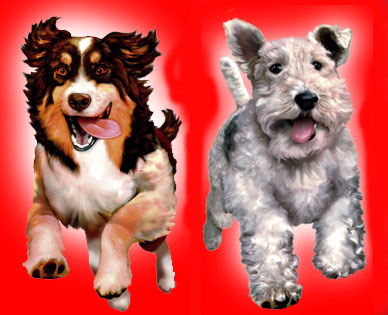 illustration-Animals and Nature_Two Dogs running-Impressa