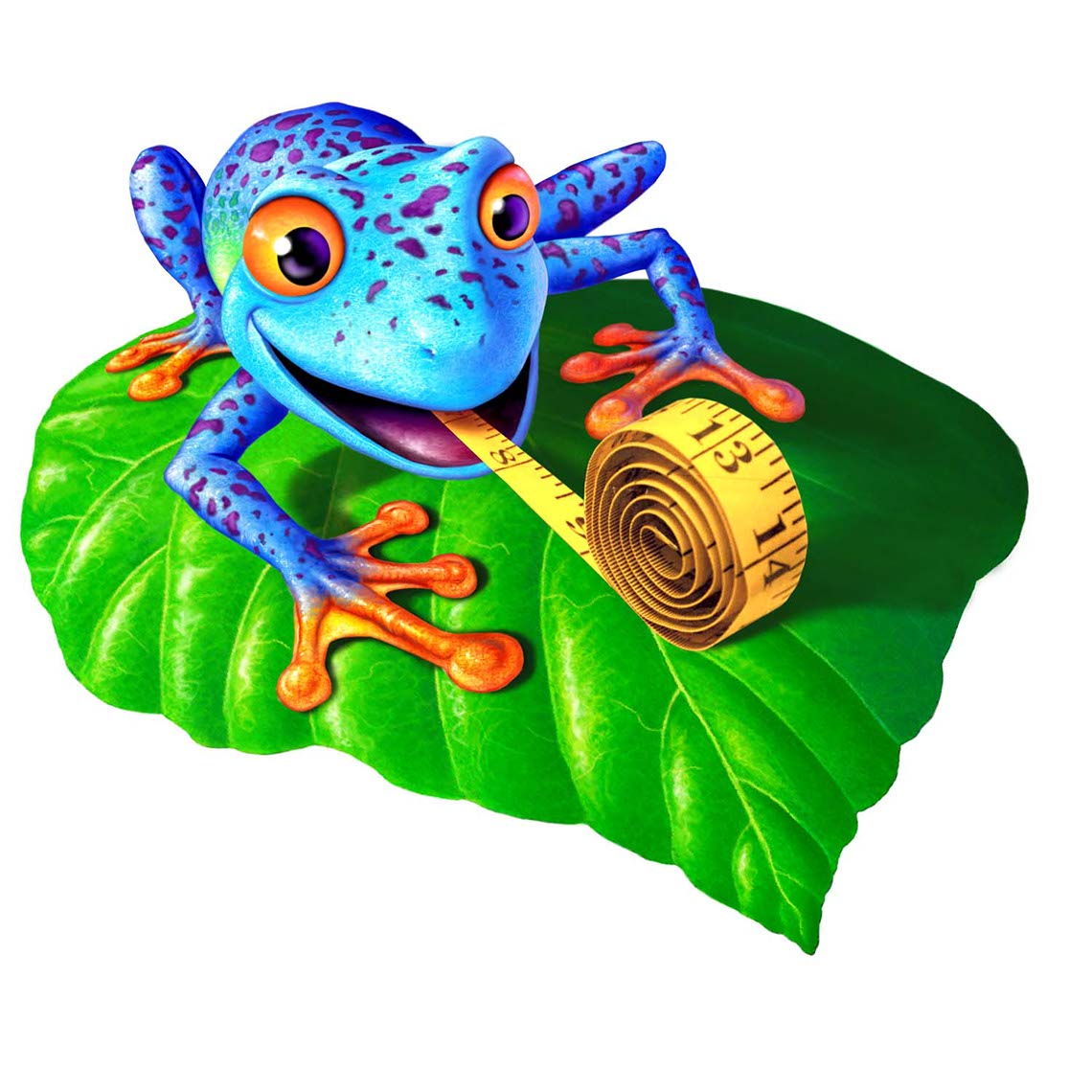illustration-Animated_Animals_Animal Stylized Frog-Jerry LoFaro