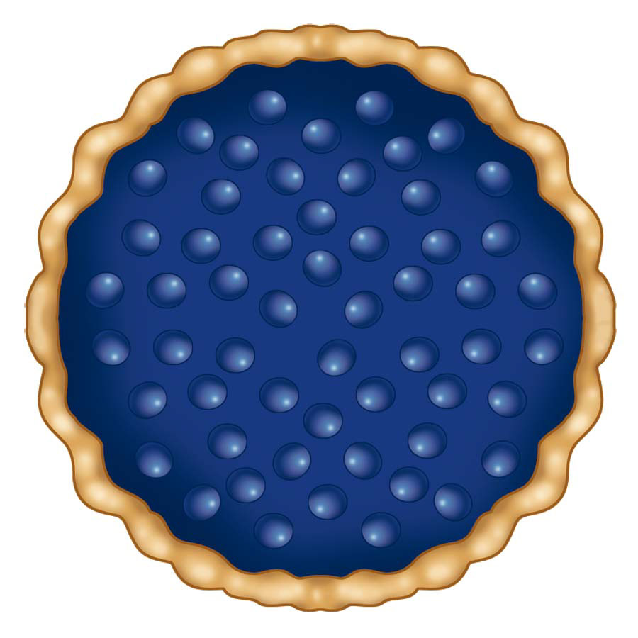 illustration-Food_Blueberry pie-Don Bishop