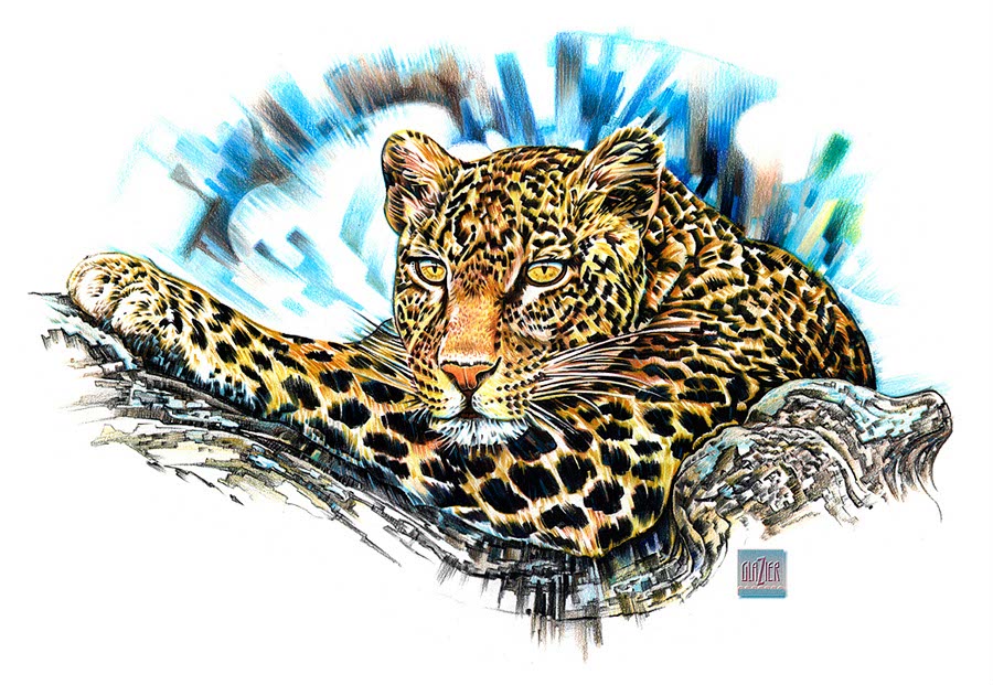 illustration-Garth Glazier_Animals_Leopard