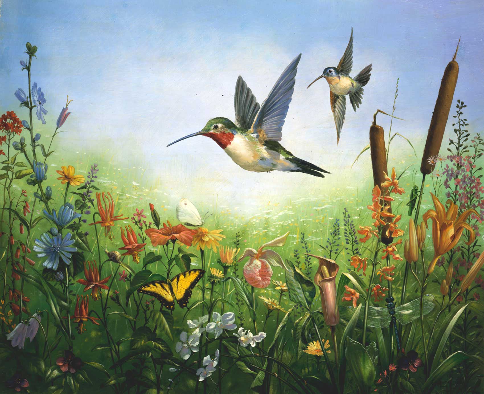 illustration-Landscapes_Hummingbird-meadow-Mike-Jaroszko
