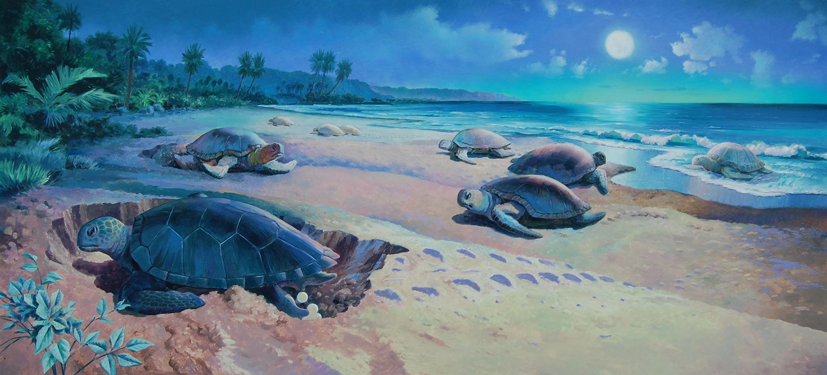 illustration-Landscapes_Turtles walking across the beach-Mike Jaroszko