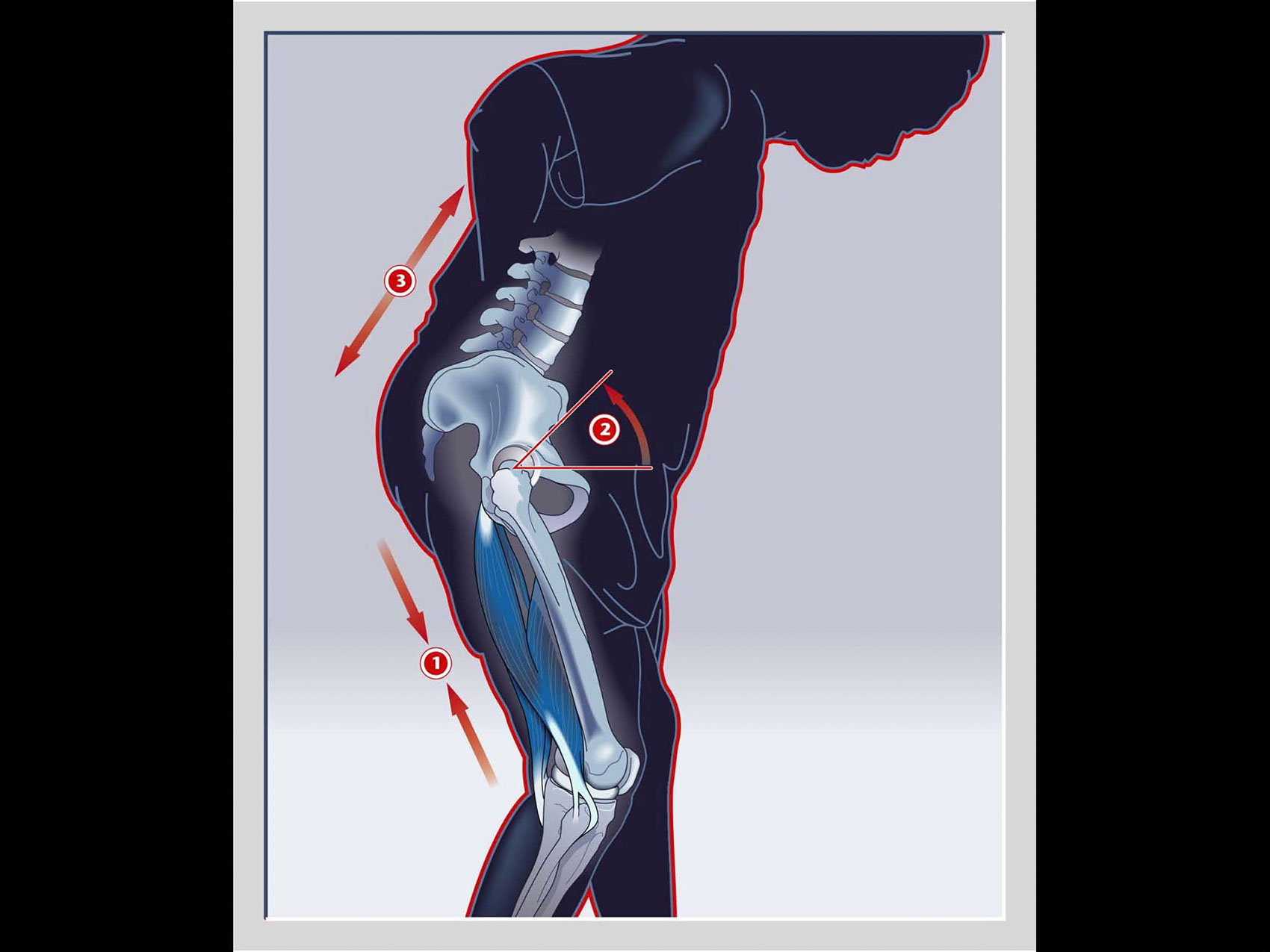 illustration-Medical_Joint pain-Matt Zang