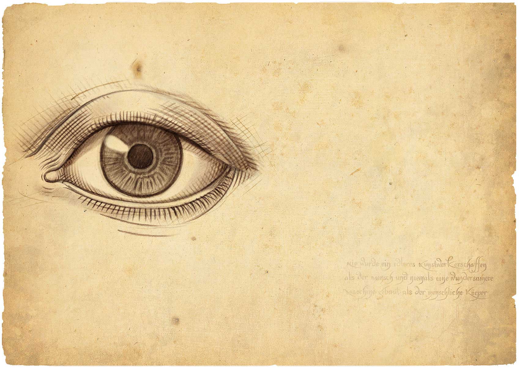 illustration-Retro_DaVinci-style-eye-Pastiche