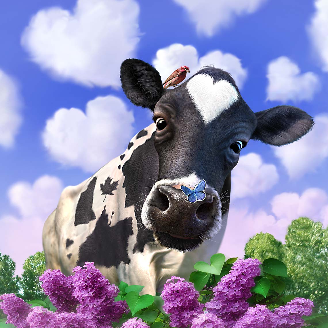 illustration-animals and nature-cow with heart markings  in field-Jerry LoFaro