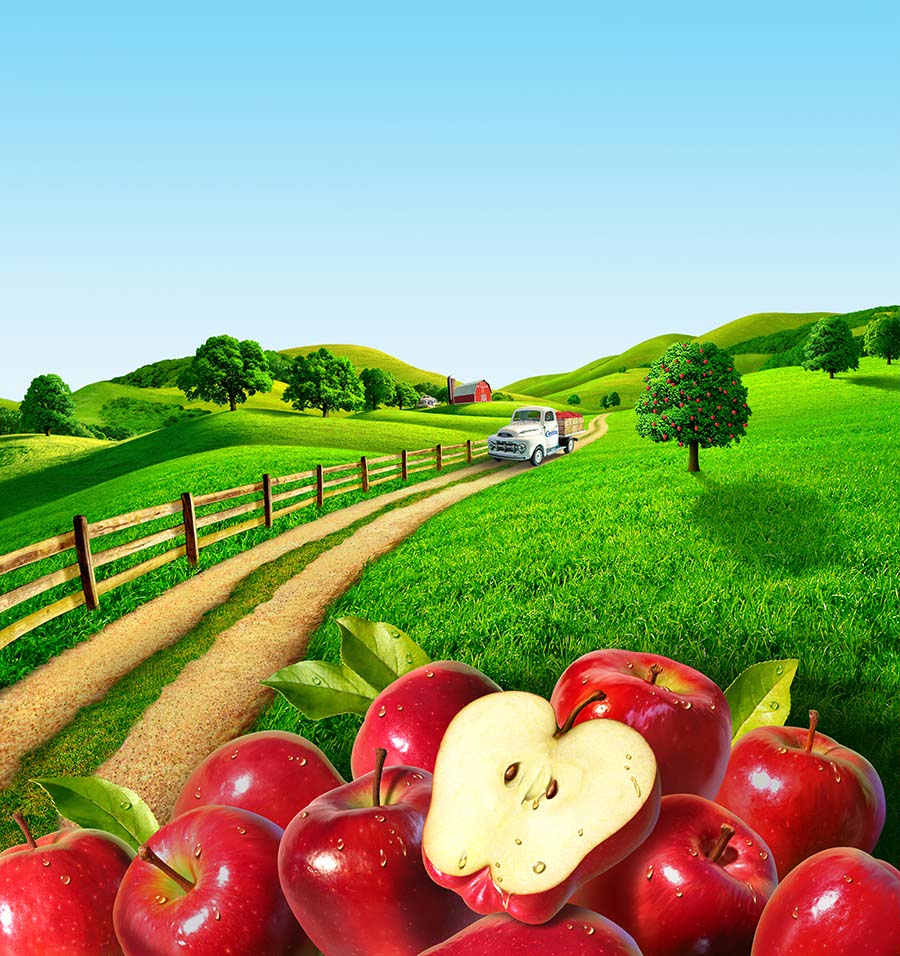 illustration-landscapes-stack of apples with farm landscape-Jerry LoFaro