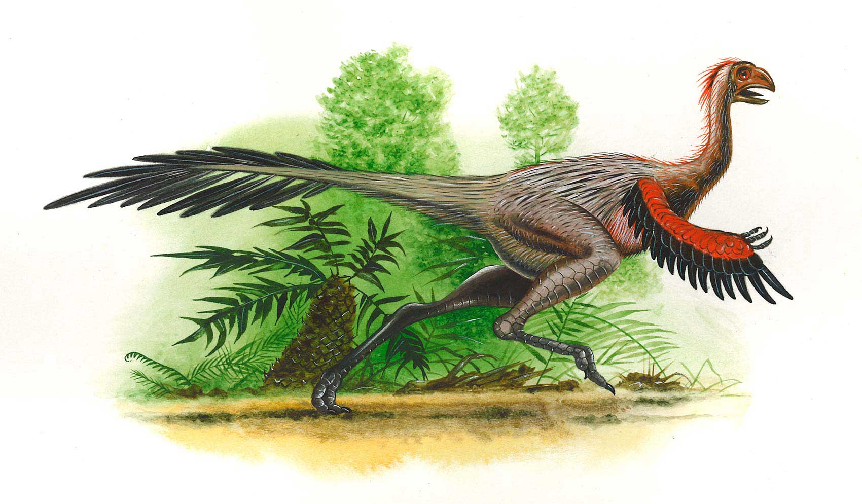 illustration-realistic-animals-dinosaurs-oviraptorosaur