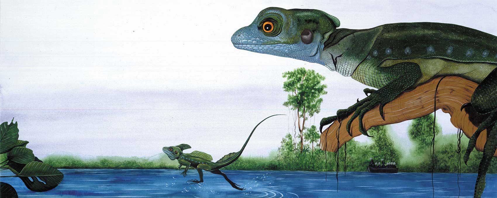 illustration-realistic-animals-lizard