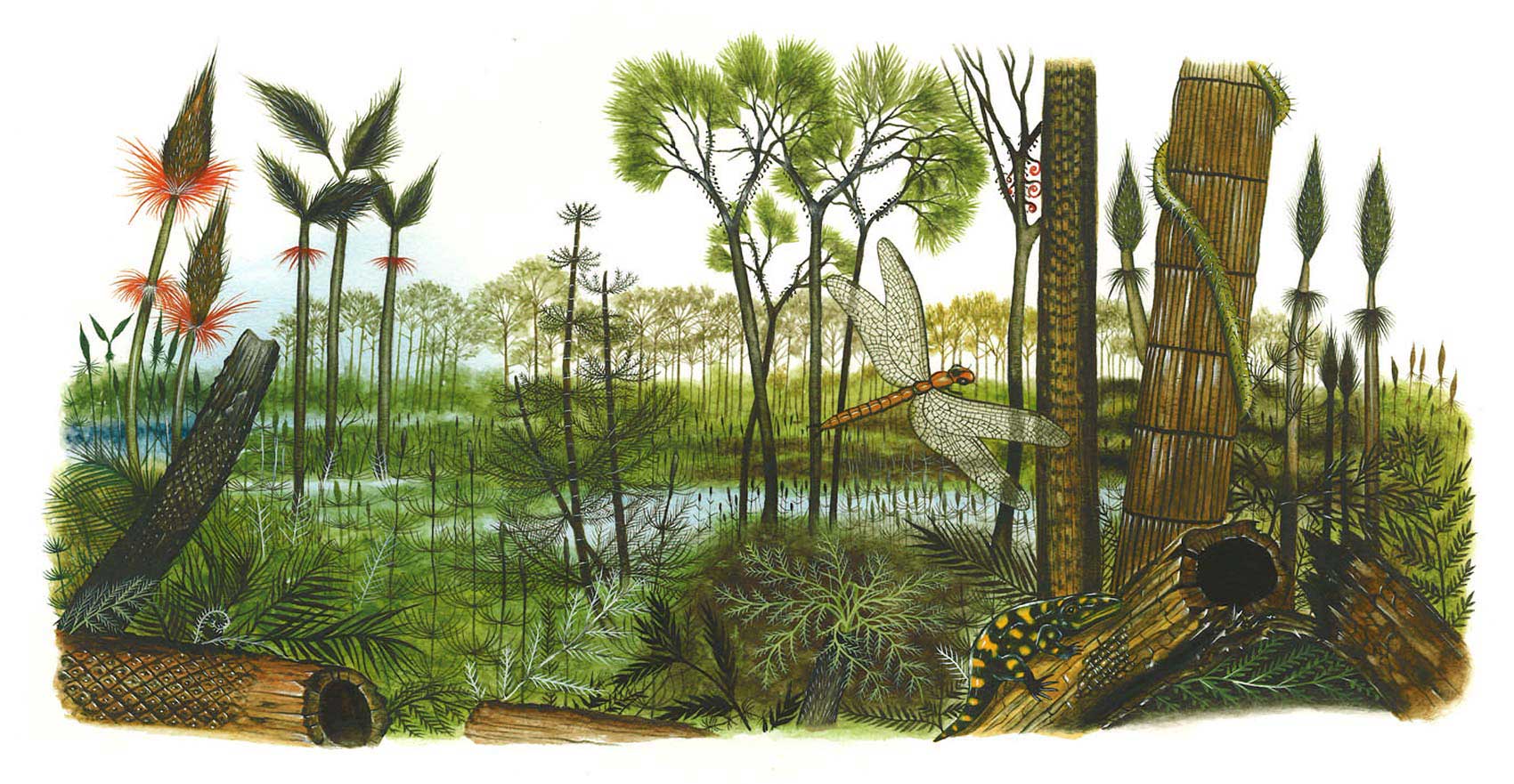 illustration-realistic-landscapes-Jungle