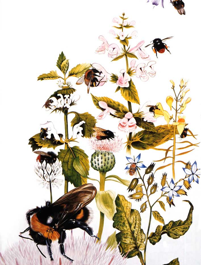 illustration-realistic-landscapes-bees