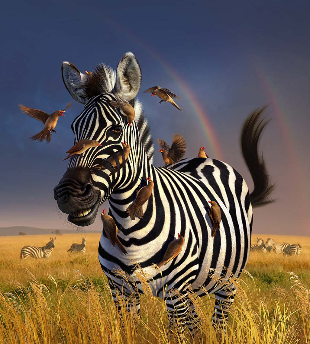 illustration-zebra jailbird surrounded by flying hummingbirds on african plains-Jerry LoFaro