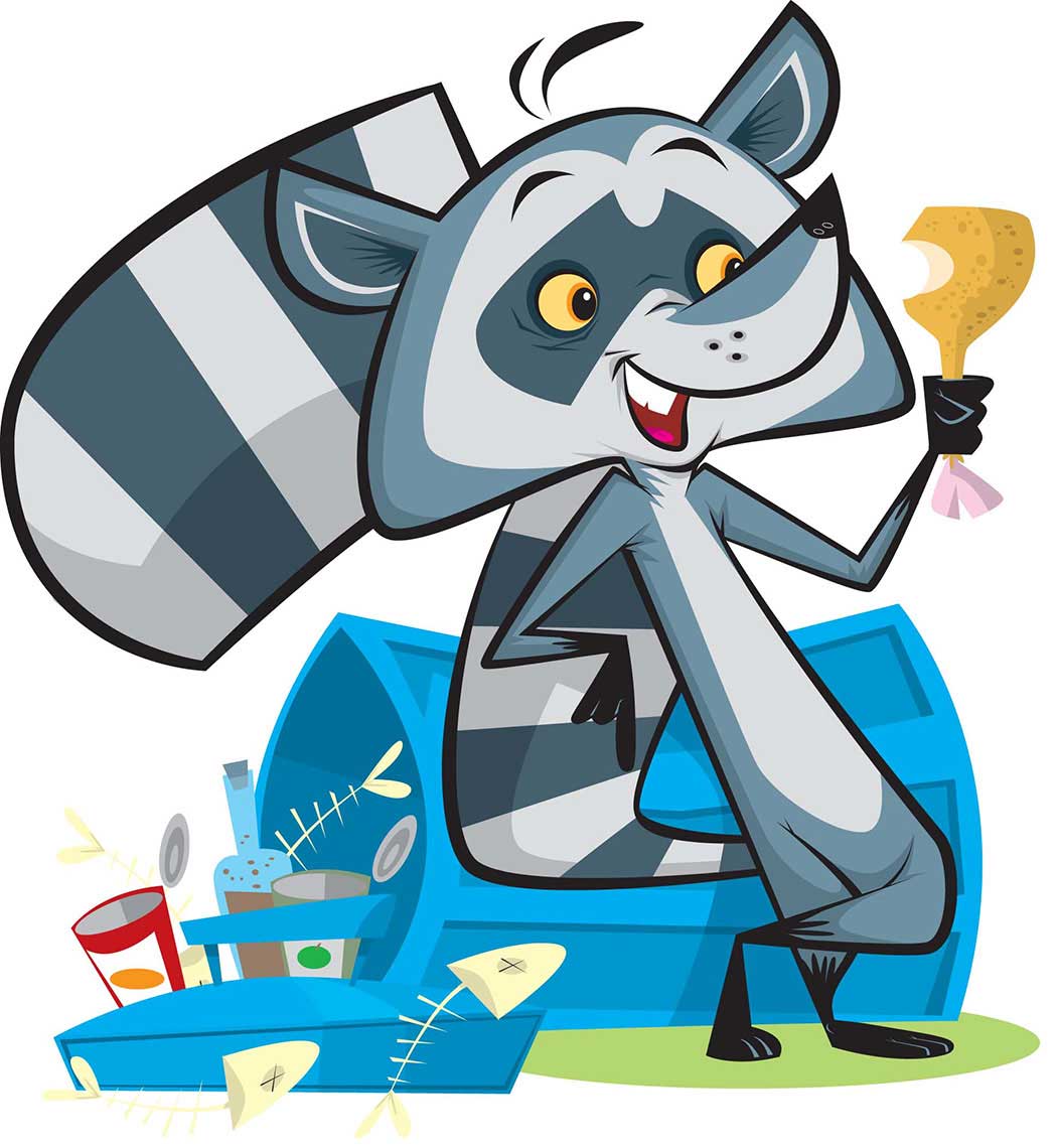 vector-animal-character-design-racoon